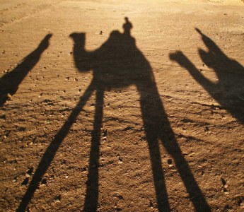 El desierto de Borges