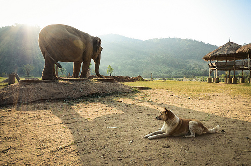 Mae San en el río de las anfetaminas