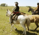 Gauchos (Vince Alongi)