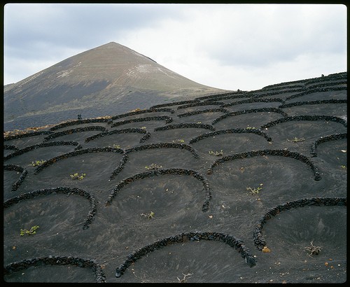 Obras en el paraíso