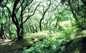 Fotografía: Casey Hugelfink.