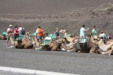Turistas y camellos en Lanzarote (Fotografía de Fernando)