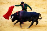 ¿Deben verse los toros en Canarias? 