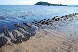 Piche en la playa (Alberto Hugo Rojas).